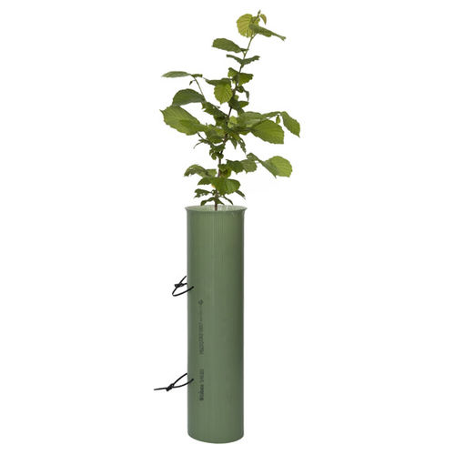 树木栽培种植管 - SHRUBSHELTER - Tubex