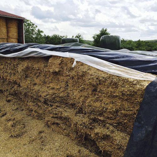 青贮篷布 - Barbier Groupe - 聚乙烯 / 防紫外线 / 不透明
