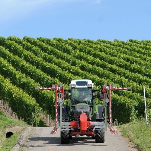 葡萄园葡萄修剪机 - ELITE VIEW - Binger Seilzug - 悬挂式 / 液压 / 立式