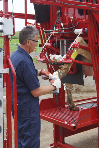 奶牛保定架 - Accu-trim - Comfort Hoof Care - 液压 / 修蹄