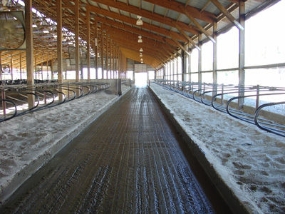 混凝土地垫 - Accu-step - Comfort Hoof Care - 用于养牛场 / 防滑