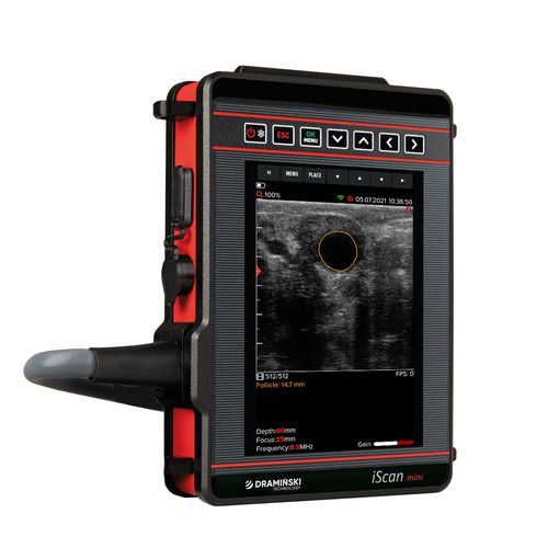 便携式兽用超声诊断仪 - iScan Mini - DRAMINSKI S.A. - 大型动物 / 线性 / 用于生殖成像