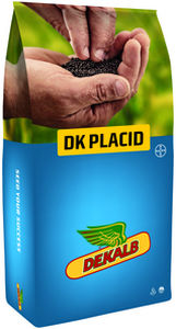 半早熟油菜种子 - DK PLACID - DeKalb - 抗茎点霉 / 混合动力 / 抗倒伏