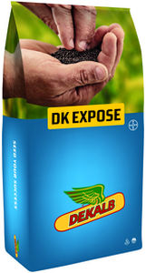 半晚熟油菜种子 - DK EXPOSE - DeKalb - 抗茎点霉 / 混合动力 / 抗倒伏