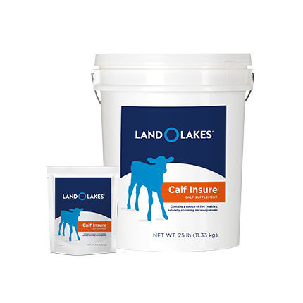 动物饲料补充剂 - Calf Insure® - Land O'Lakes Animal Milk Products Co. - 牛犊 / 维生素 / 矿物质