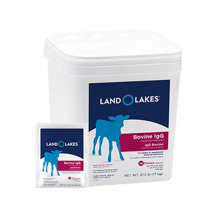 牛犊初乳替代品 - Bovine IgG - Land O'Lakes Animal Milk Products Co. - 粉末