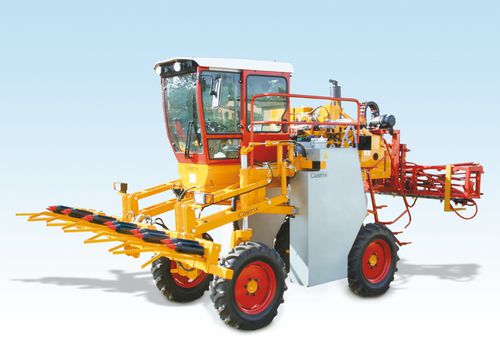 自走式去雄机 - S4C - Castrix - 4行 / 6行