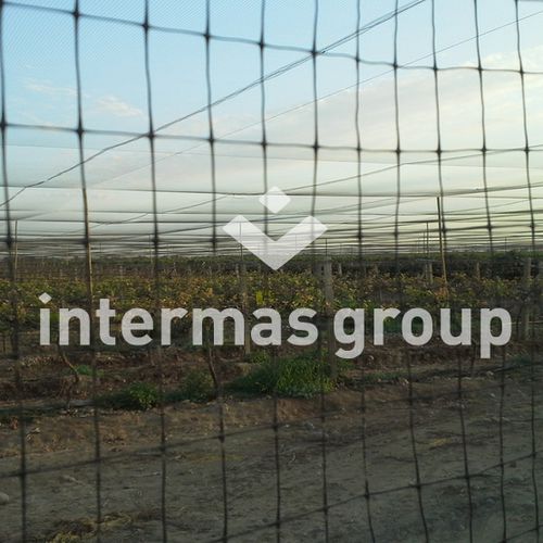 防鸟网 - DIFENGREEN Series - INTERMAS - 聚乙烯 / 树木栽培