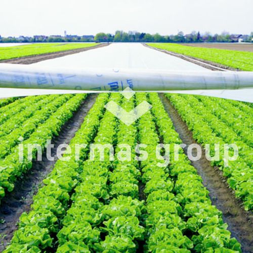温室防护罩 - PROTECTERM Series - INTERMAS - 防紫外线