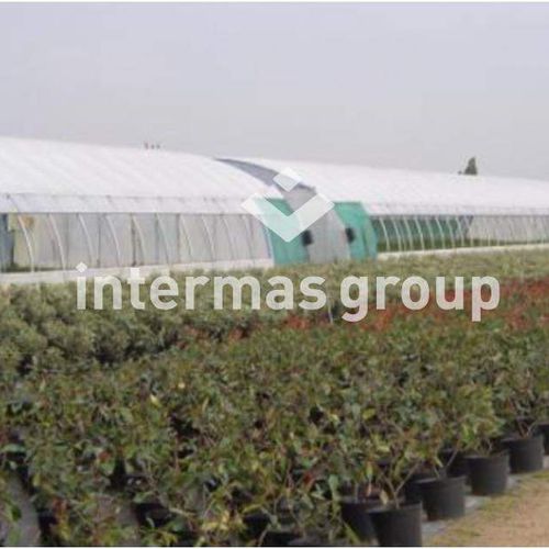 温室篷布 - INTERMAS - 不透明 / 白色