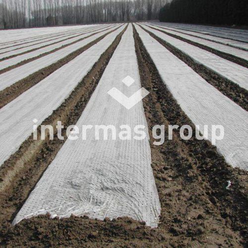 防草膜 - 500 TROUS - INTERMAS - 带孔