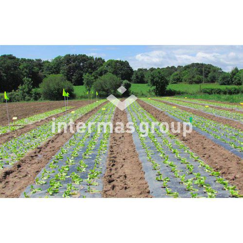 地面覆盖膜 - INTERMAS - 防紫外线 / 带孔 / 可生物降解