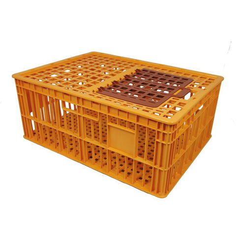 鸡运输笼 - CVC320800-OR - GAMMA WOPLA - 塑料