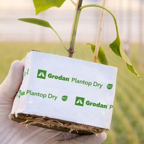 矿棉栽培基质 - Plantop Dry - GRODAN - 土块
