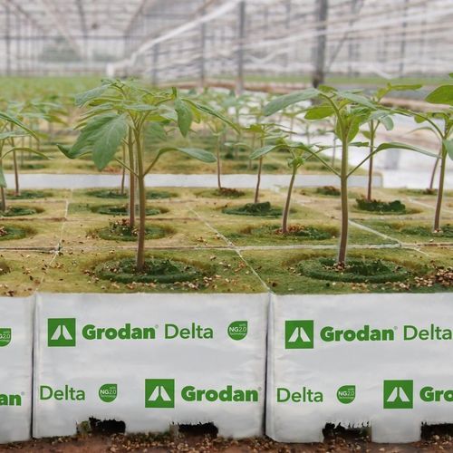 矿棉栽培基质 - Delta NG2.0 - GRODAN - 土块 / 含纤维