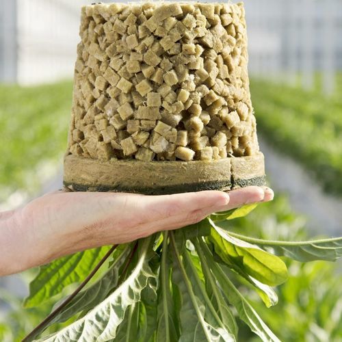 矿棉栽培基质 - Grofit - GRODAN - 土块 / 多孔