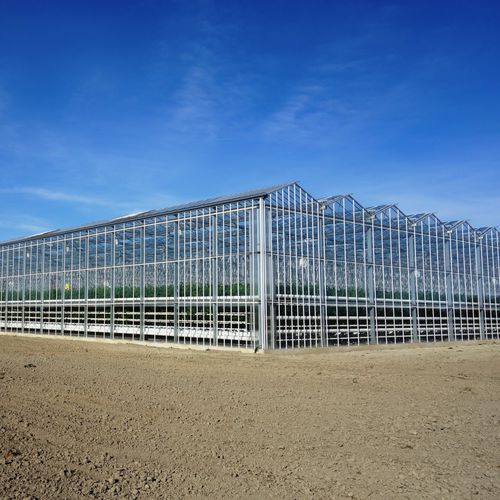 Venlo型温室 - HORCONEX - 园林花卉 / 玻璃