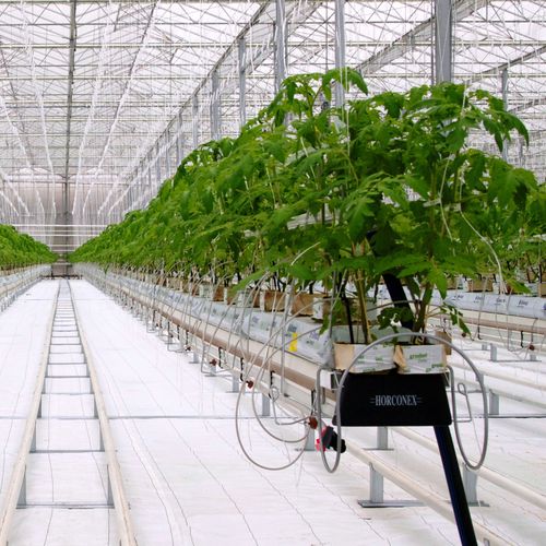 钢蓄排水种植槽 - HORCONEX - 悬挂式