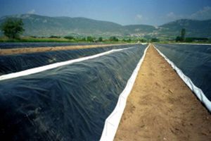 地面覆盖膜 - Asperfect™ Easy Fill - OERLEMANS PLASTICS BV - 热效应 / 透明 / 白色