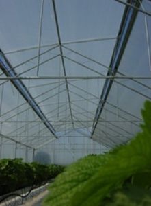 温室篷布 - OPTILUX CLEAR - OERLEMANS PLASTICS BV - 防紫外线 / 热效应 / 抗凝结