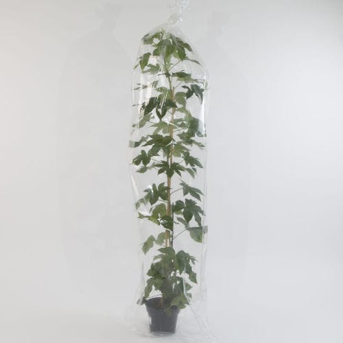 防护网 - OERLEMANS PLASTICS BV - 包装 / 塑料 / 用于花园