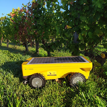 全地形农业光伏机器人 - Vitirover All Terrain Robotic Mower - 除草 / 割草 / 自主