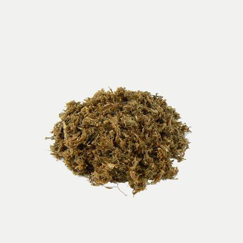 泥炭栽培基质 - BVB Substrates - 散装 / 粗粒