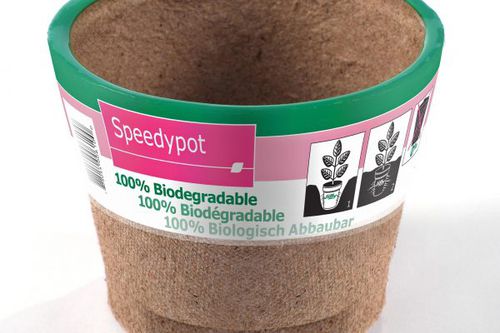 纸浆花盆 - Speedypot - Jiffy Products International BV - 圆形 / 可生物降解 / 一次性