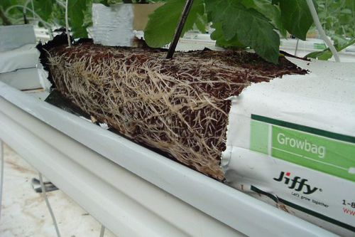 聚苯乙烯种植袋 - Jiffy Products International BV