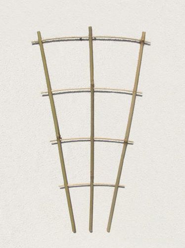 竹制植物支撑架 - S3 - Kokos Frymus i Zuckerman S.J.