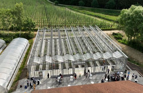 连栋温室 - Forschungsgewächshaus - Kräss GlasCon GmbH - 实验 / 玻璃 / 钢结构