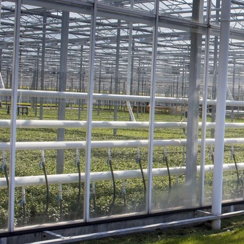温室涂料 - PipePaint - ReduSystems - 太阳能反射