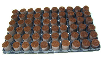 椰糠栽培基质 - Coco Plugs™  - Sivanthi Joe Substrates P Ltd. - 穴盘 / 土块