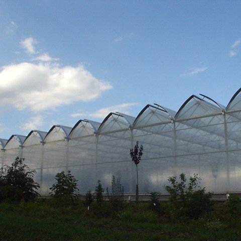 多尖顶温室 - Cabrio Top Air - VERMAKO GREEN HOUSES - Venlo型 / 塑料 / 铝合金框架