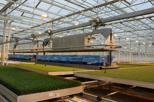 半自动园艺处理系统 - Monorail - Visser Horti Systems - 自动 / 盆栽 / 育苗托盘