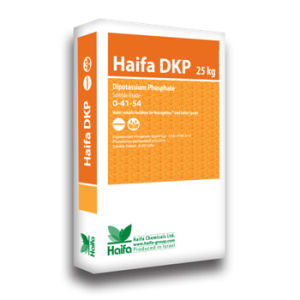 矿物肥料 - DKP™ - Haifa North West Europe - PK / 颗粒 / 叶面