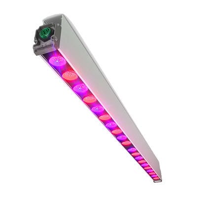 园艺灯具 - GreenPower - Philips Horticulture LED Solutions/飞利浦 - LED式