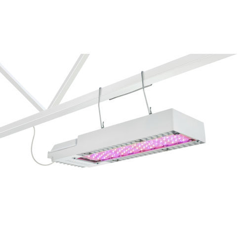 园艺灯具 - GreenPower Compact - Philips Horticulture LED Solutions - LED式 / 调光