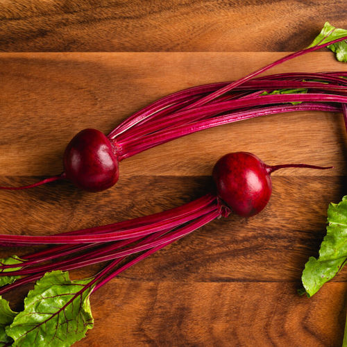食用甜菜种子 - Cassius - SAKATA ORNAMENTALS EUROPE A/S - 抗丛根病 / 抗尾孢菌叶斑病 / 细菌斑病抗性