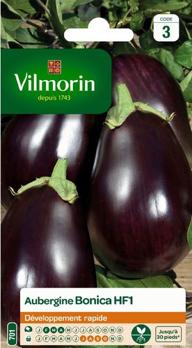 早熟茄子种子 - Bonica HF1 - Vilmorin Jardin (Vilmorin Garden/ VDB) - 混合动力