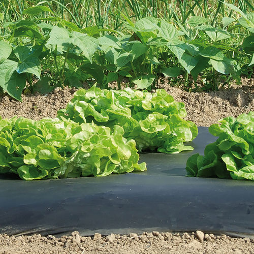 防草膜 - Vilmorin Jardin (Vilmorin Garden/ VDB) - 塑料 / 可生物降解
