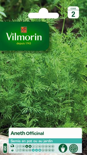 一年生花植物 - Aneth Officinal - Vilmorin Jardin (Vilmorin Garden/ VDB) - 黄色 / 盆栽 / 用于花园