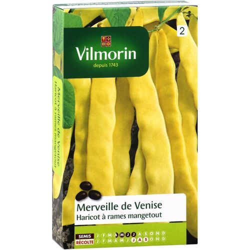 晚熟菜豆种子 - Merveille de Venise - Vilmorin Jardin (Vilmorin Garden/ VDB) - 攀缘 / 黄色