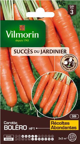 秋季胡萝卜种子 - Boléro  - Vilmorin Jardin (Vilmorin Garden/ VDB) - 混合动力 / 锥形