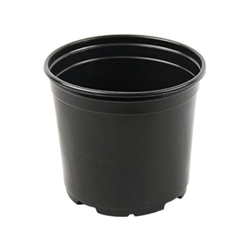 塑料花盆 - RCP-525 - Ainong USA Corporation - 圆形 / 黑色 / 重复使用型