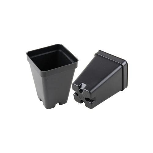 塑料花盆 - SCP-250 - Ainong USA Corporation - 正方形 / 黑色 / 重复使用型