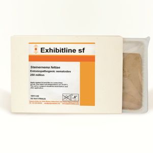 防治棘蓟马线虫 - Exhibitline Sf - Bioline Agrosciences Inc/Bioline Canada Inc - 防蚊虫 / 成虫