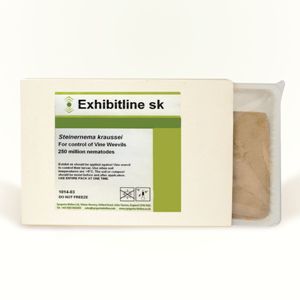 防治象鼻虫线虫 - Exhibitline Sk - Bioline Agrosciences Inc/Bioline Canada Inc - 成虫