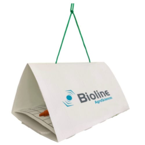 昆虫防虫害陷阱 - Delta - Bioline Agrosciences Inc/Bioline Canada Inc - 信息素 / 农作物