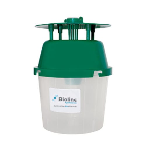 昆虫防虫害陷阱 - Bioline Agrosciences Inc/Bioline Canada Inc - 信息素 / 农作物 / 害虫防治